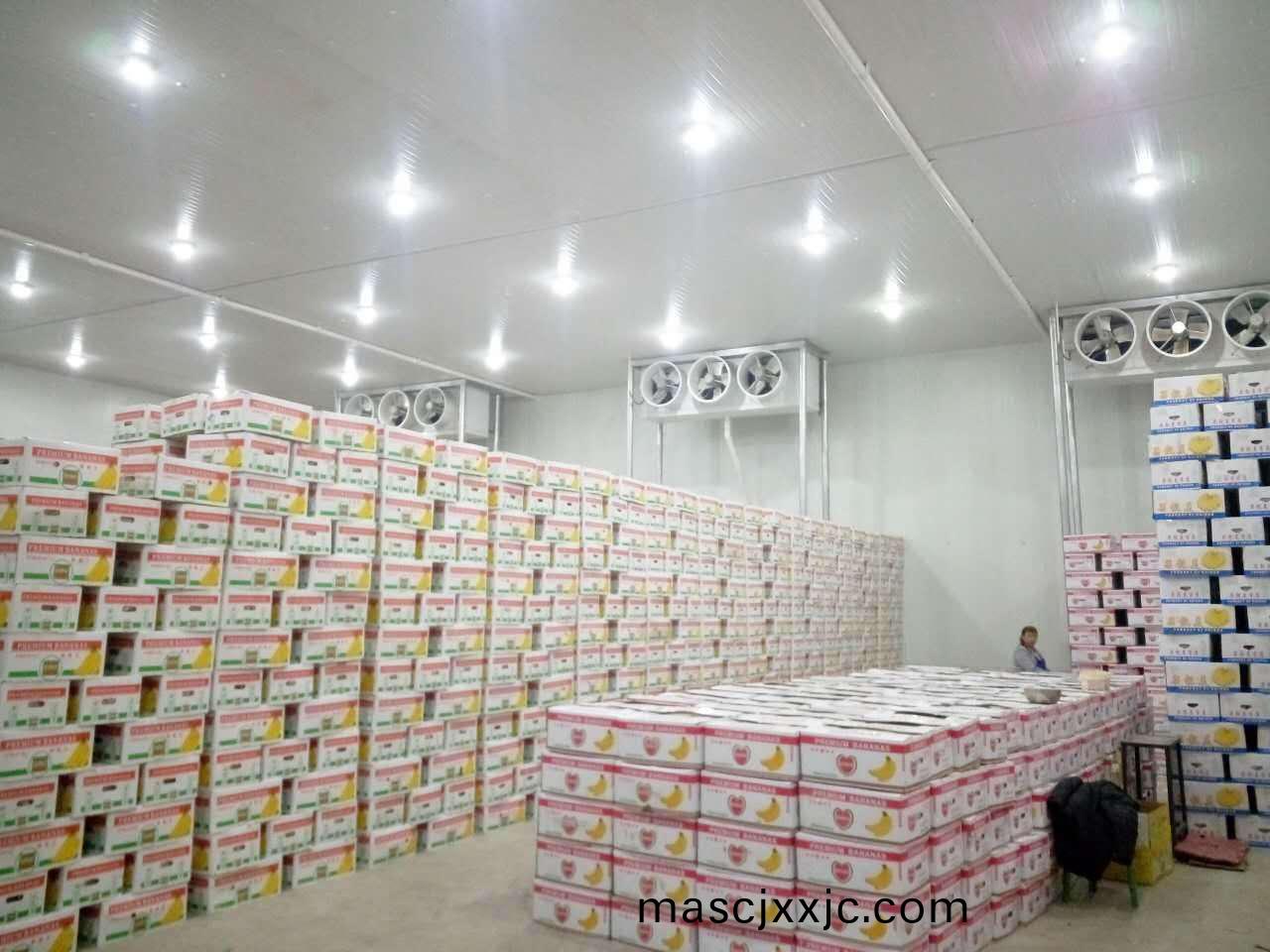 廣州百菓園冷(leng)庫項(xiang)目(mu)
